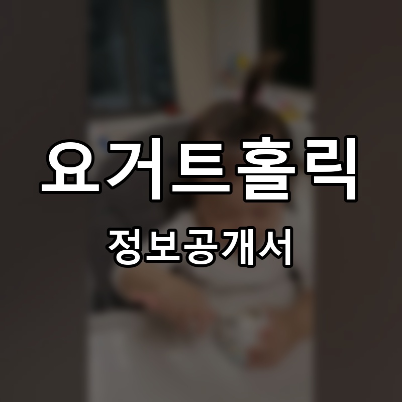 요거트홀릭 프랜차이즈 정보공개서