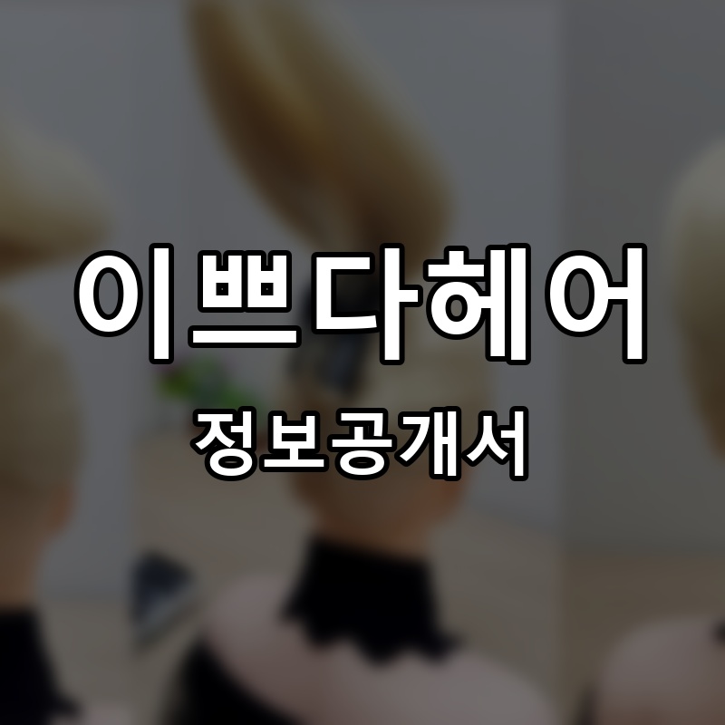 이쁘다헤어 프랜차이즈 정보공개서