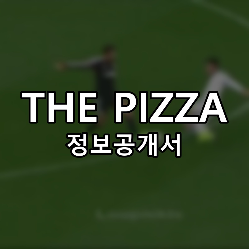 THE PIZZA(더피자) 프랜차이즈 정보공개서