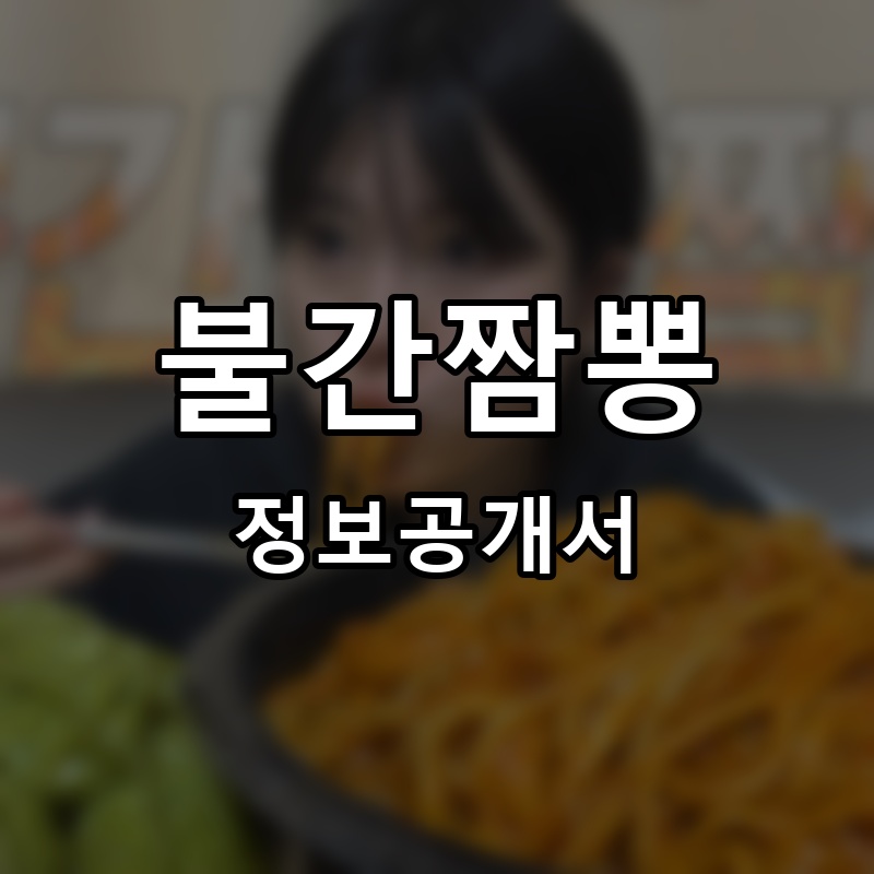 불간짬뽕 프랜차이즈 정보공개서