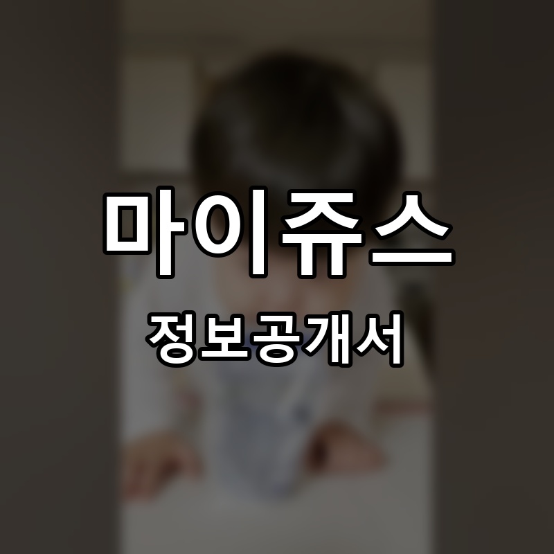 마이쥬스 프랜차이즈 정보공개서