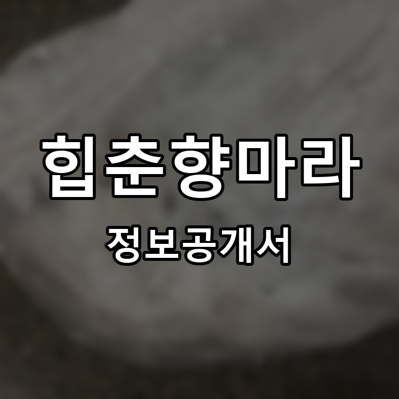 힙춘향마라 프랜차이즈 정보공개서
