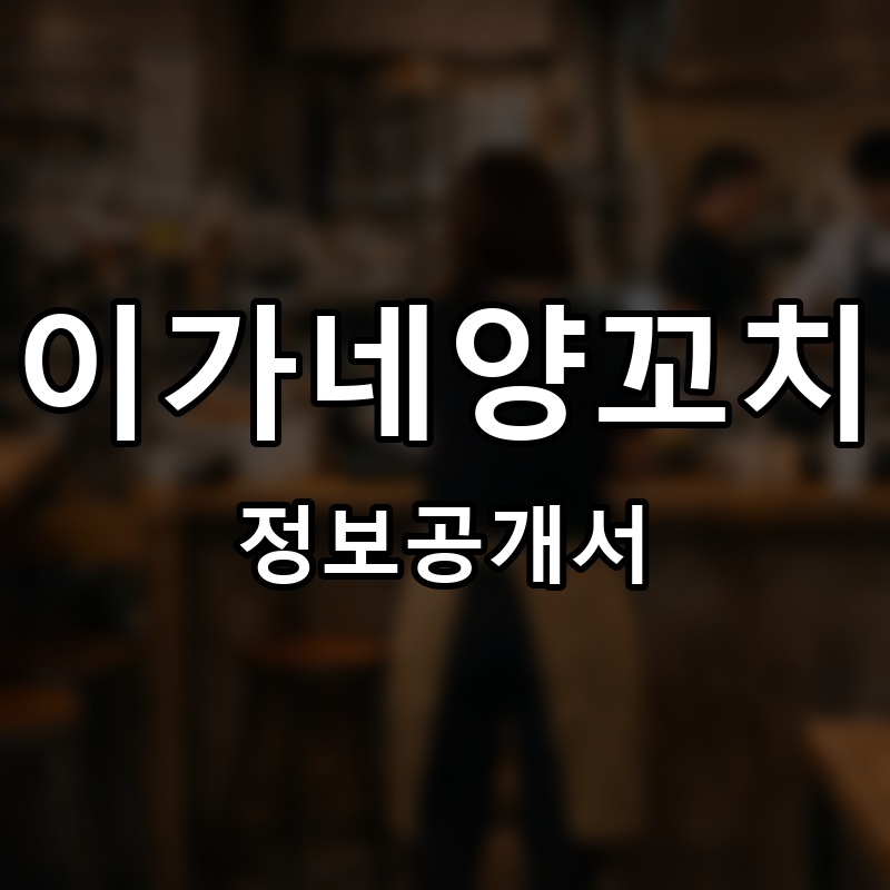 이가네양꼬치 프랜차이즈 정보공개서