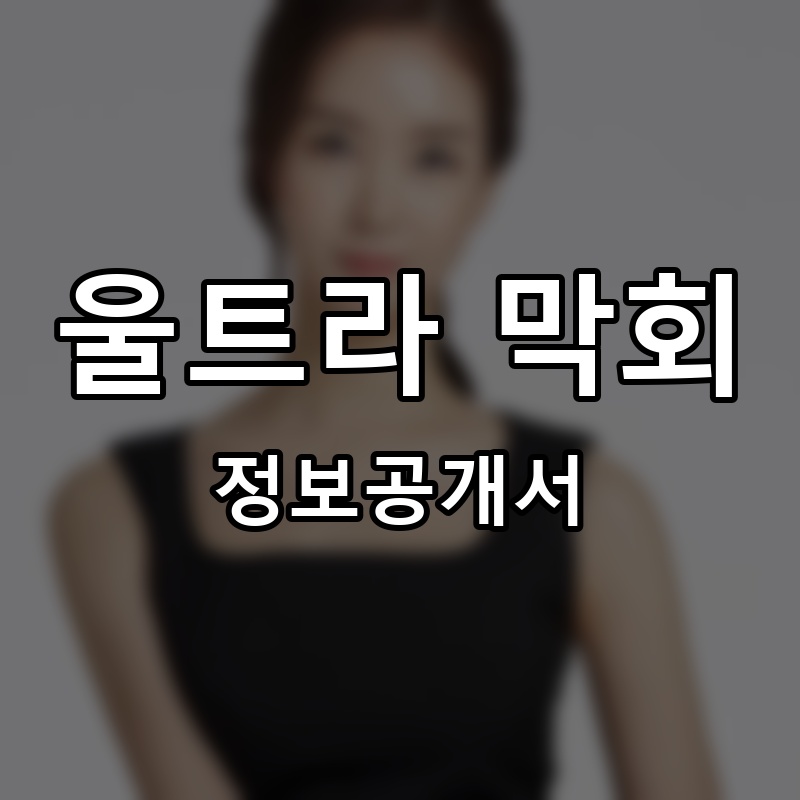울트라 막회 프랜차이즈 정보공개서