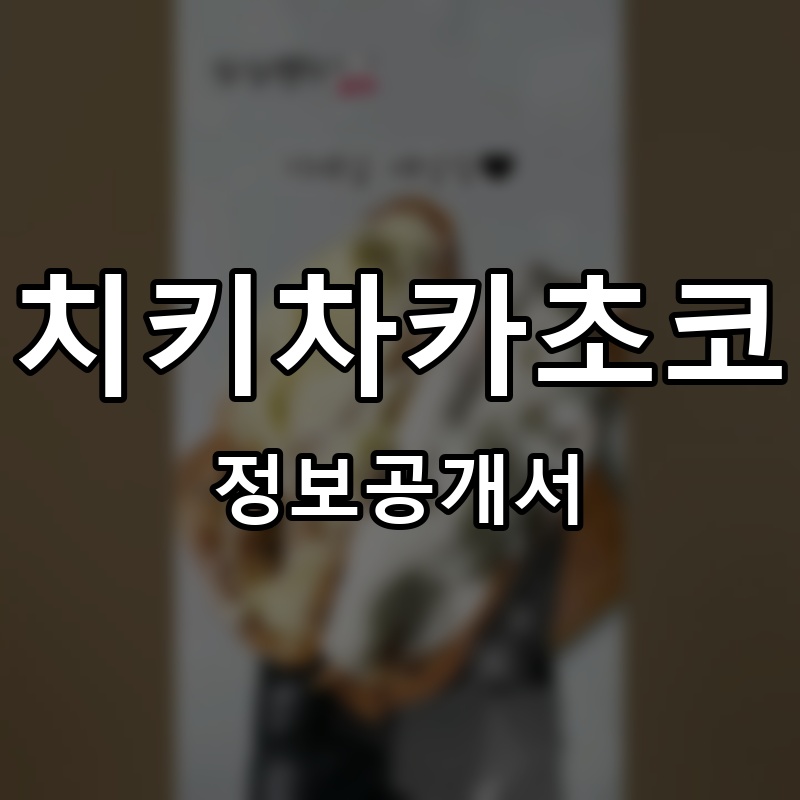 치키차카초코 프랜차이즈 정보공개서