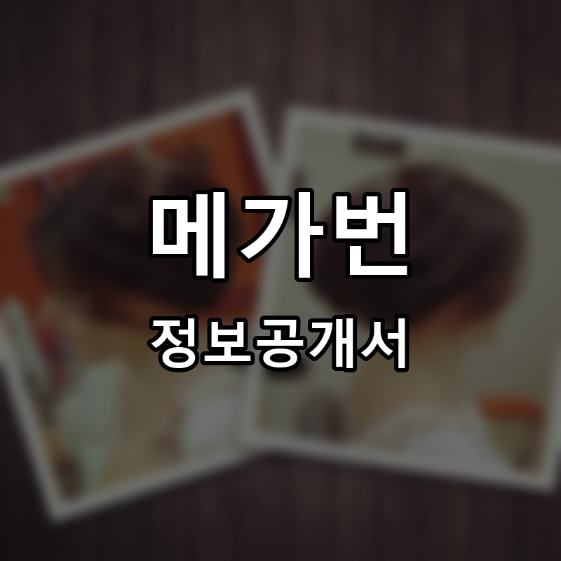 메가번(MAGABUN) 프랜차이즈 정보공개서