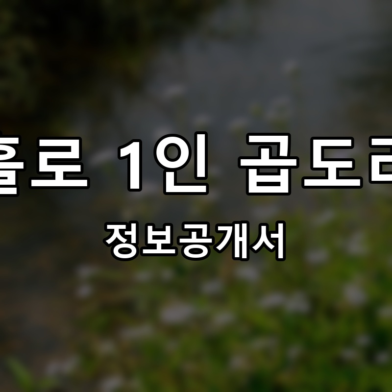 나홀로 1인 곱도리탕 프랜차이즈 정보공개서
