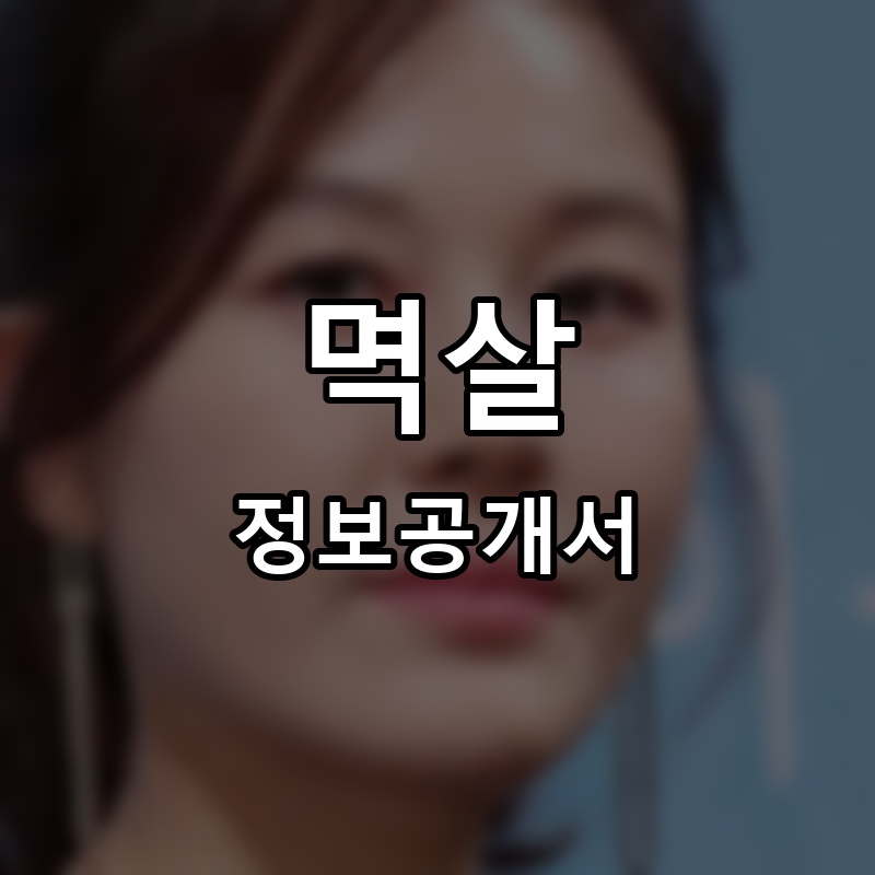 멱살 프랜차이즈 정보공개서