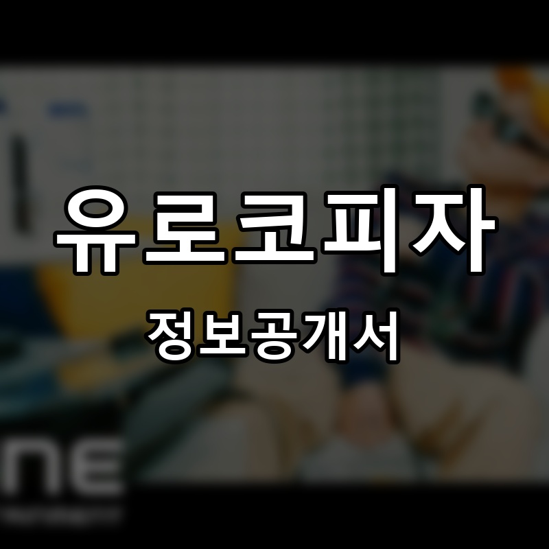 유로코피자(EUROKO PIZZA) 프랜차이즈 정보공개서