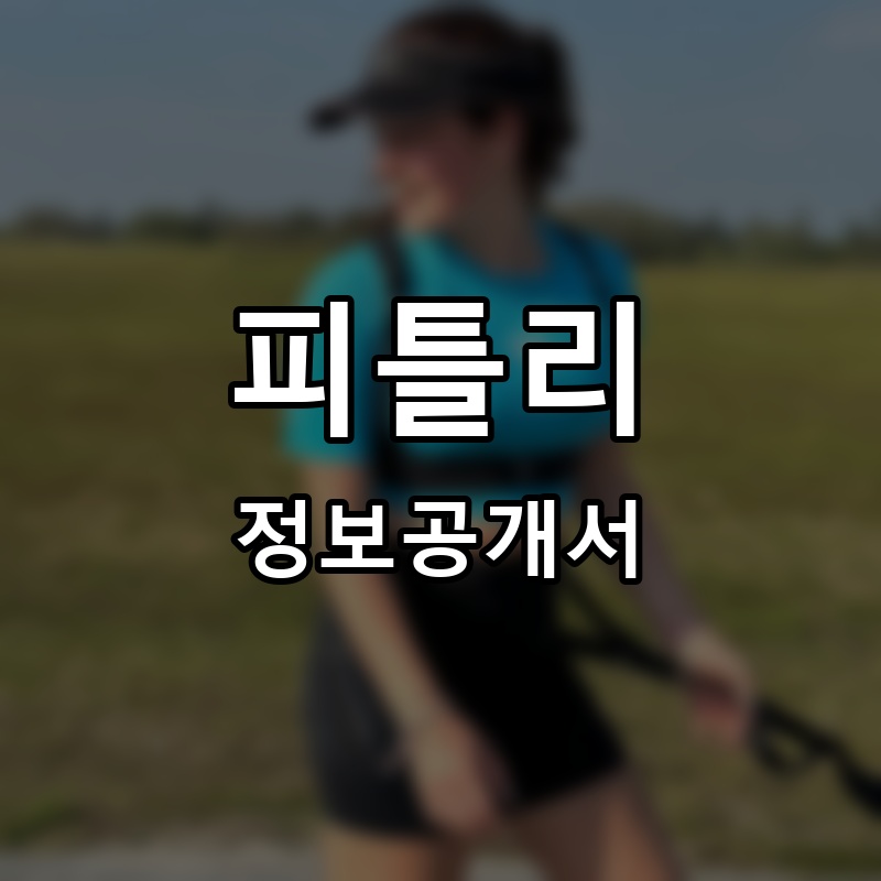 피틀리(fitly) 프랜차이즈 정보공개서
