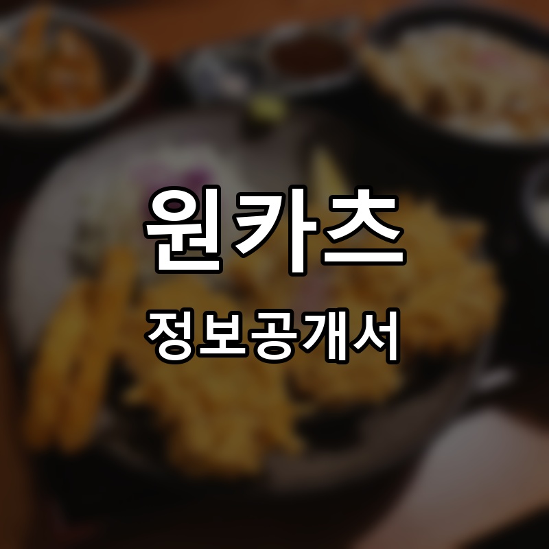 원카츠 프랜차이즈 정보공개서