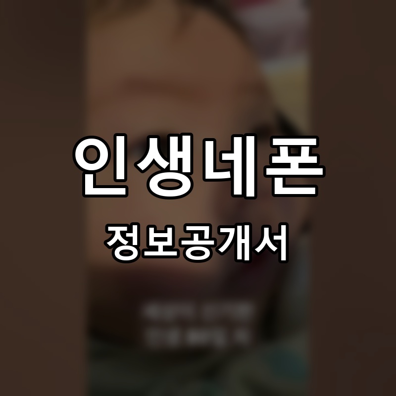 인생네폰 프랜차이즈 정보공개서