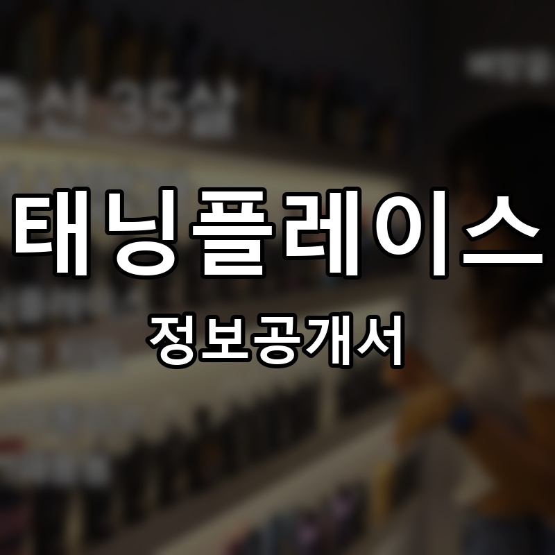 태닝플레이스 프랜차이즈 정보공개서