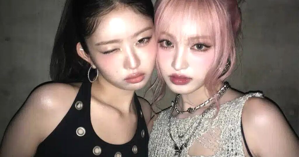 3가지 쟁점, 결국 터졌다! 진짜 다이소를 향한 대중의 열광
