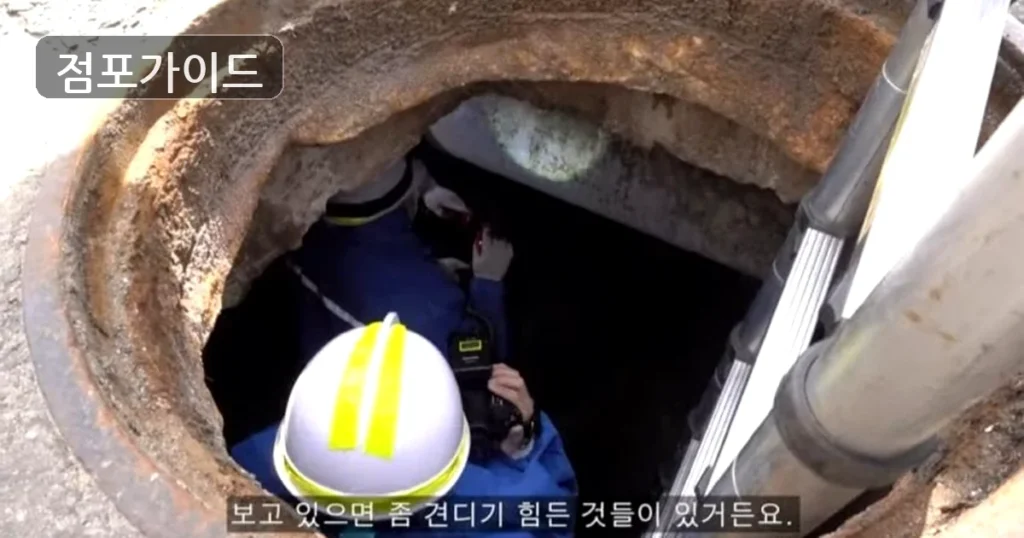 고양시 카페401 인수 순수익 663만원, 창업 조건 정리