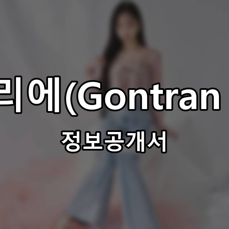 곤트란쉐리에(Gontran Cherrier) 프랜차이즈 정보공개서