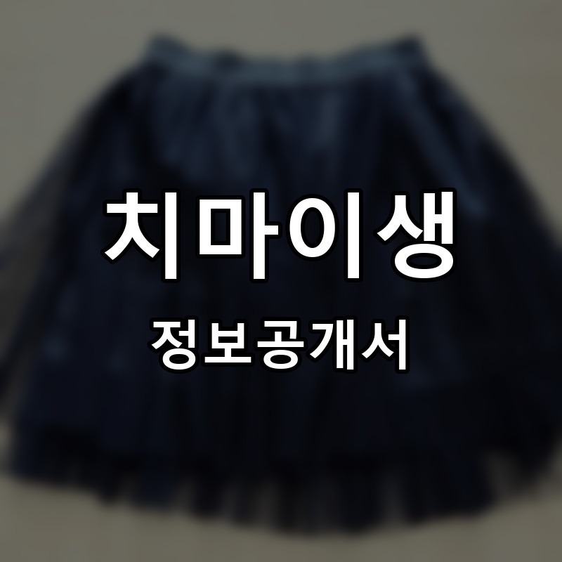 치마이생 프랜차이즈 정보공개서