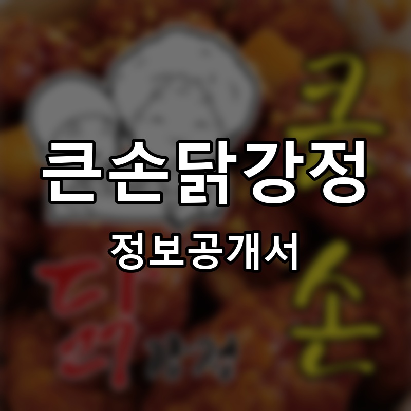 큰손닭강정 프랜차이즈 정보공개서