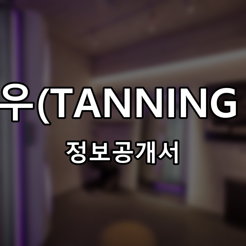 태닝나우(TANNING NOW) 프랜차이즈 정보공개서