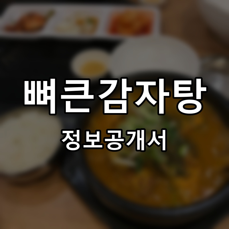 뼈큰감자탕 프랜차이즈 정보공개서