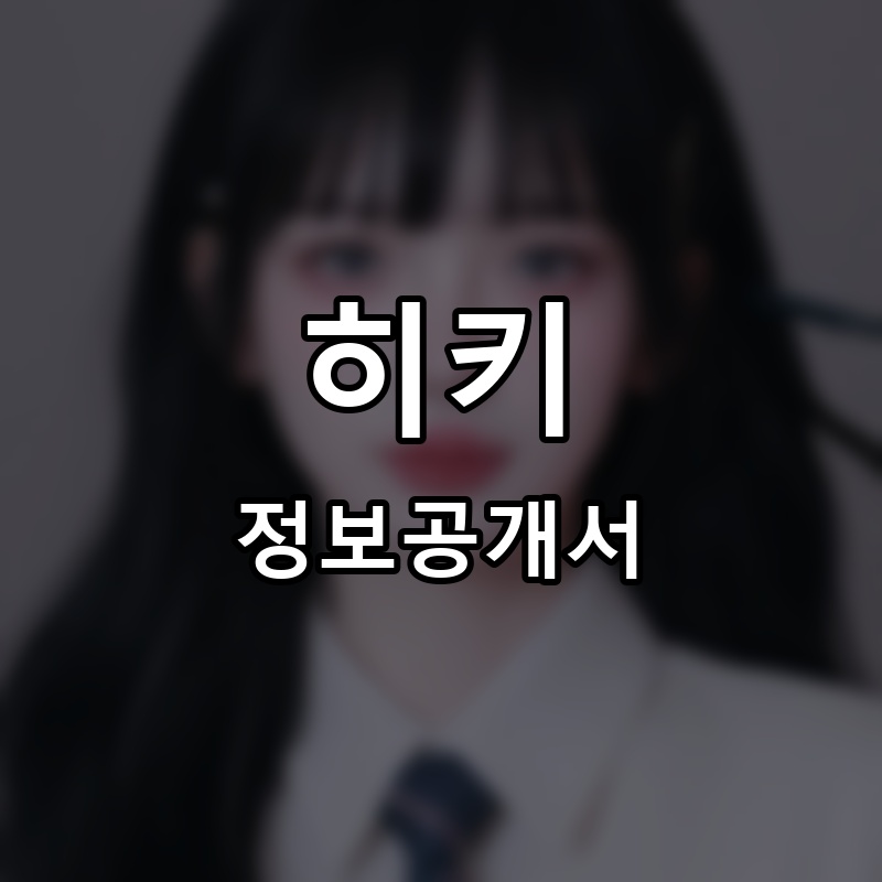 히키 프랜차이즈 정보공개서