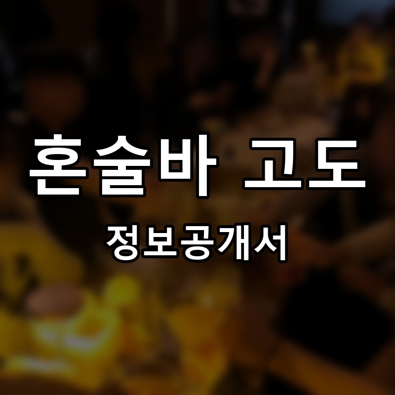 혼술바 고도 프랜차이즈 정보공개서