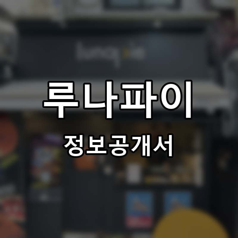 루나파이 프랜차이즈 정보공개서