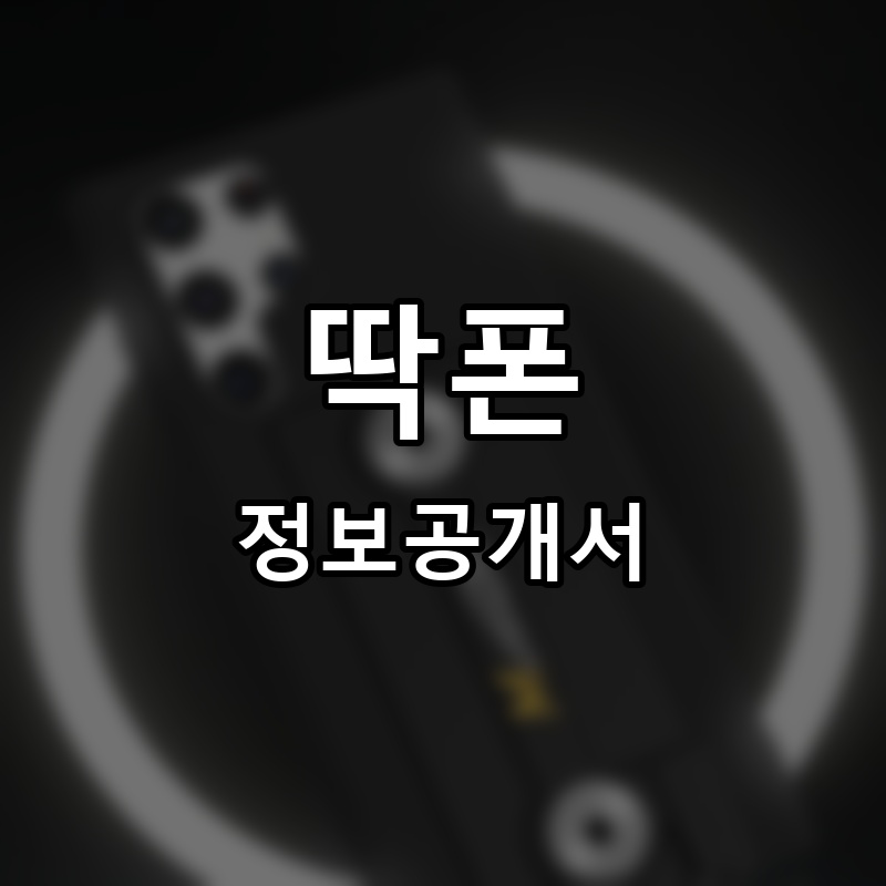 딱폰 프랜차이즈 정보공개서