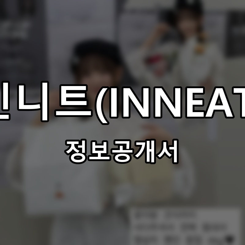 인니트(INNEAT) 프랜차이즈 정보공개서