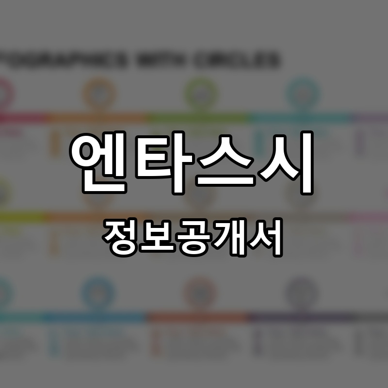 엔타스시 프랜차이즈 정보공개서