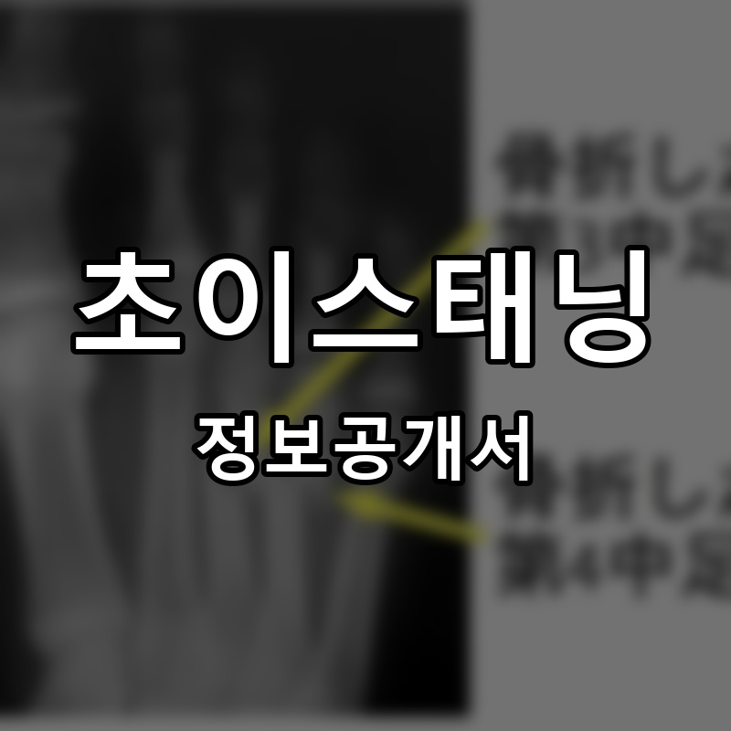 초이스태닝 (CHOI'S TANNING) 프랜차이즈 정보공개서