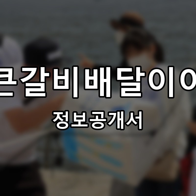 통큰갈비배달이야기 프랜차이즈 정보공개서