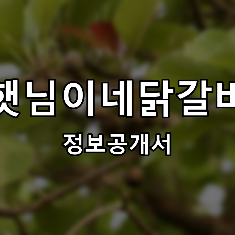 햇님이네닭갈비 프랜차이즈 정보공개서