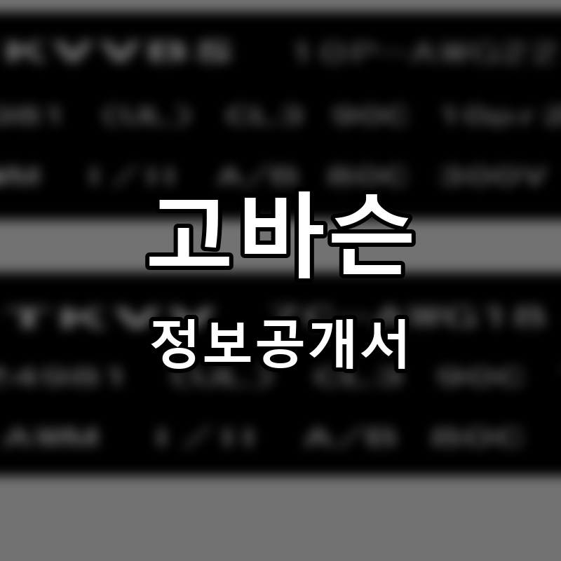 고바슨 프랜차이즈 정보공개서