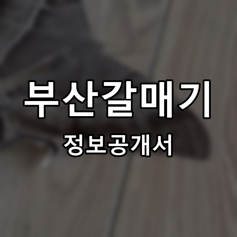 부산갈매기 프랜차이즈 정보공개서