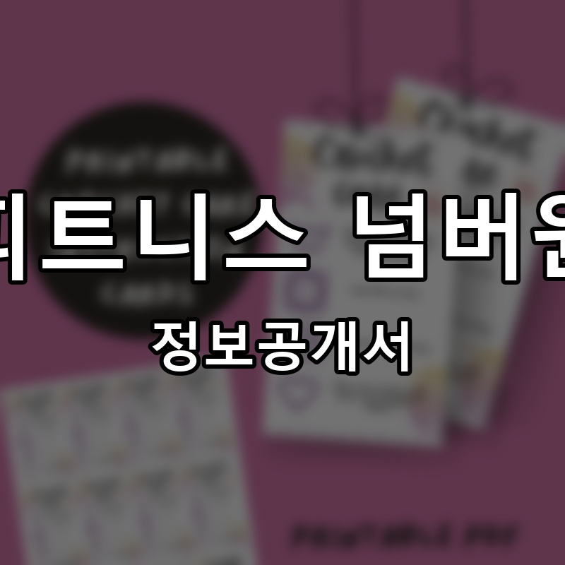 피트니스 넘버원 프랜차이즈 정보공개서