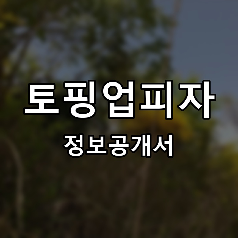 토핑업피자 프랜차이즈 정보공개서