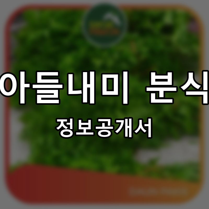 아들내미 분식 프랜차이즈 정보공개서
