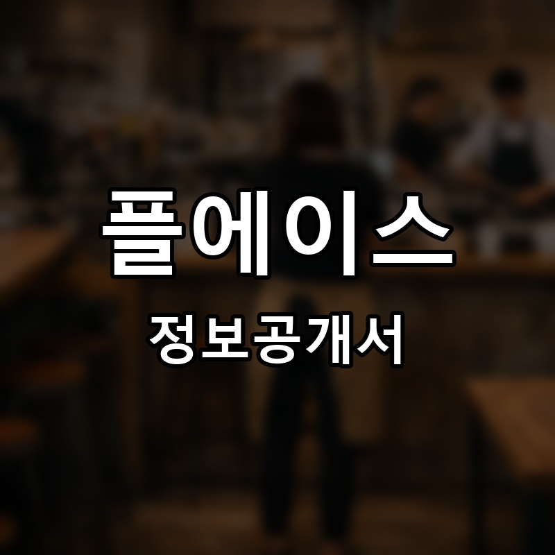 플에이스 프랜차이즈 정보공개서