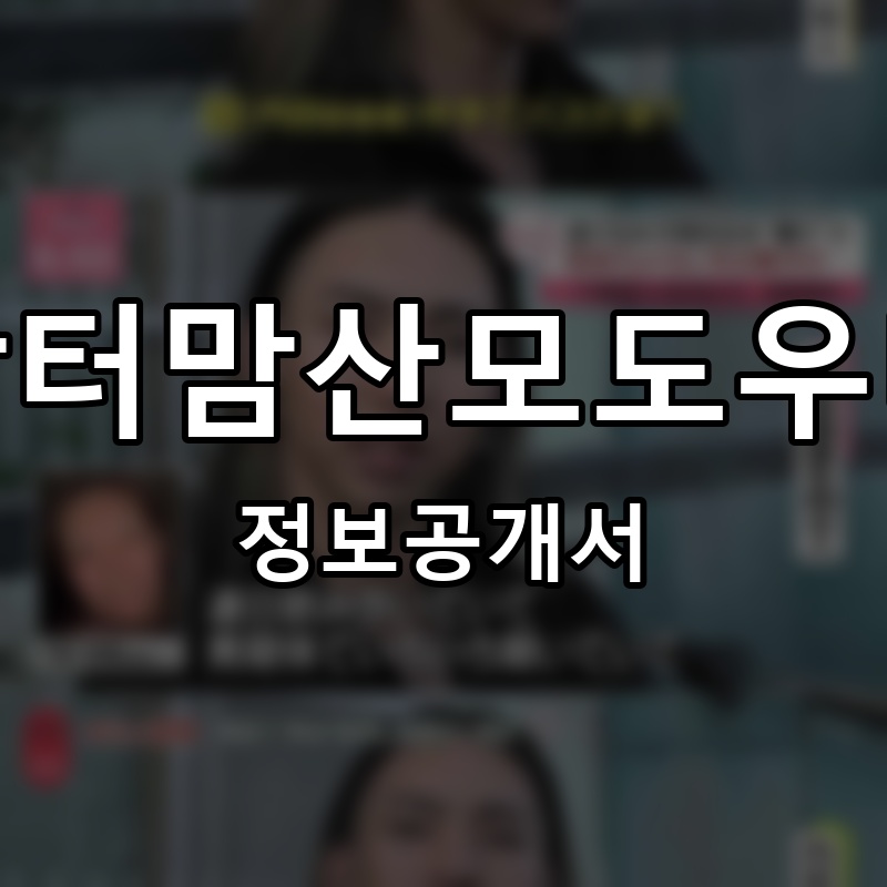 닥터맘산모도우미 프랜차이즈 정보공개서