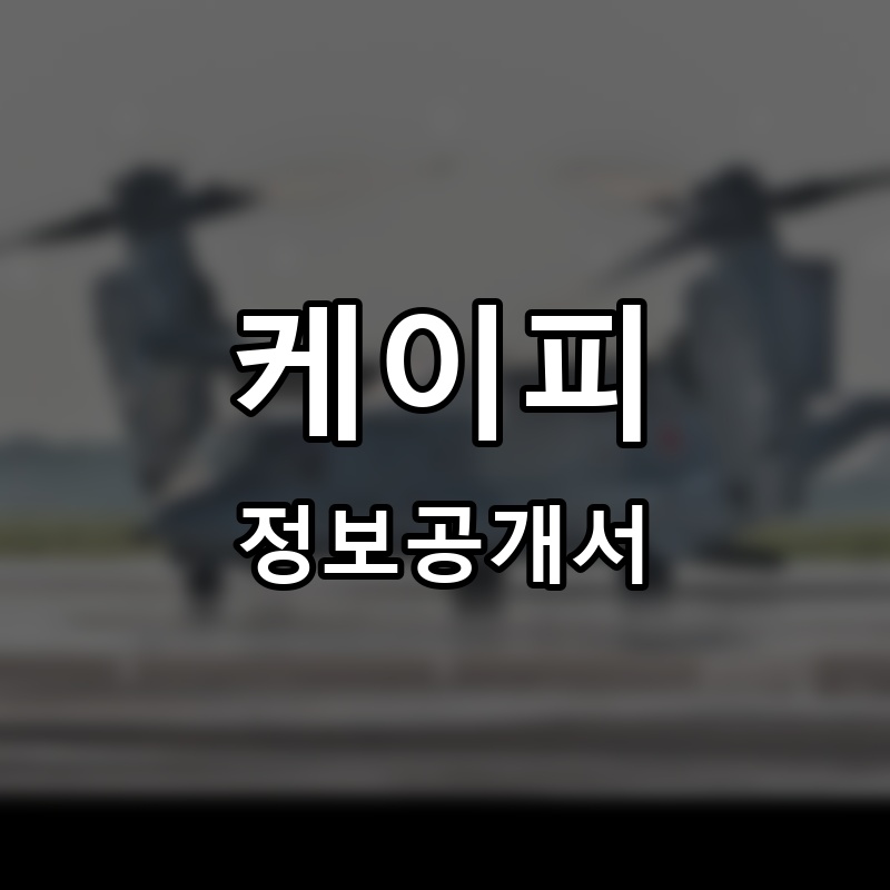 케이피(KPEE) 프랜차이즈 정보공개서
