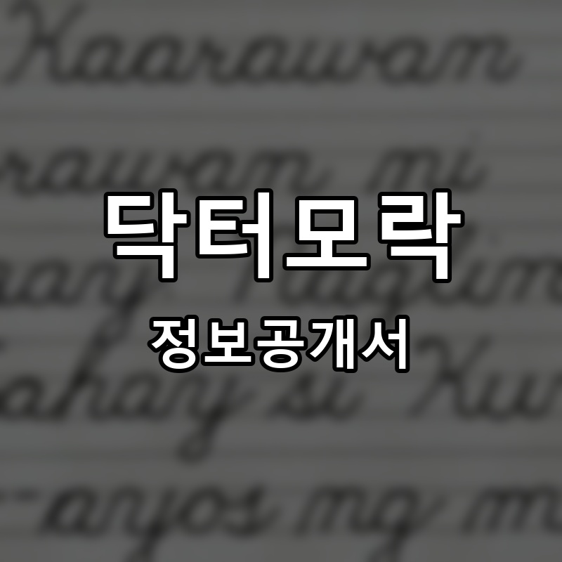 닥터모락 프랜차이즈 정보공개서