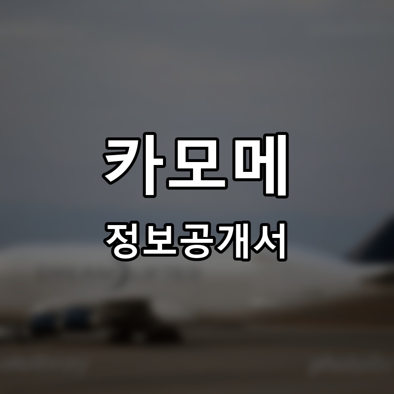 카모메 프랜차이즈 정보공개서