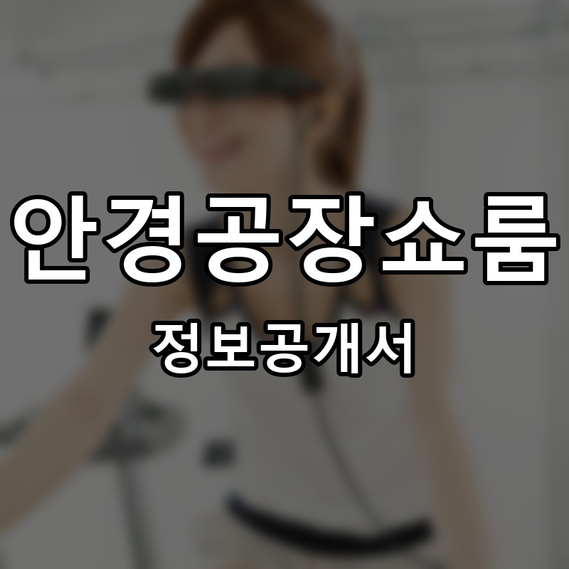 안경공장쇼룸 프랜차이즈 정보공개서
