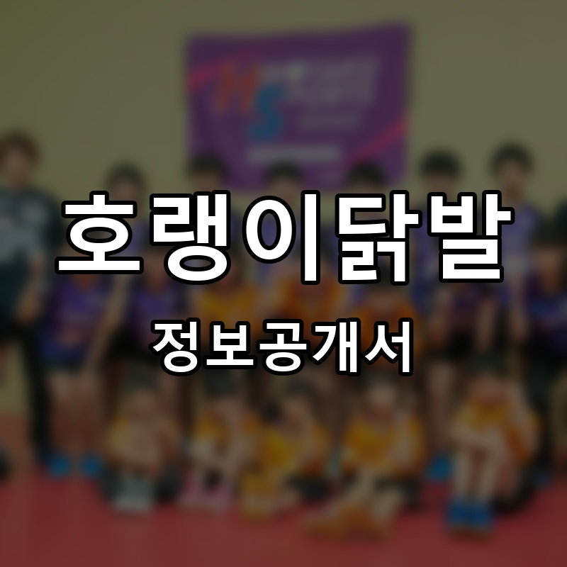 호랭이닭발 프랜차이즈 정보공개서 요약 2026.06.12