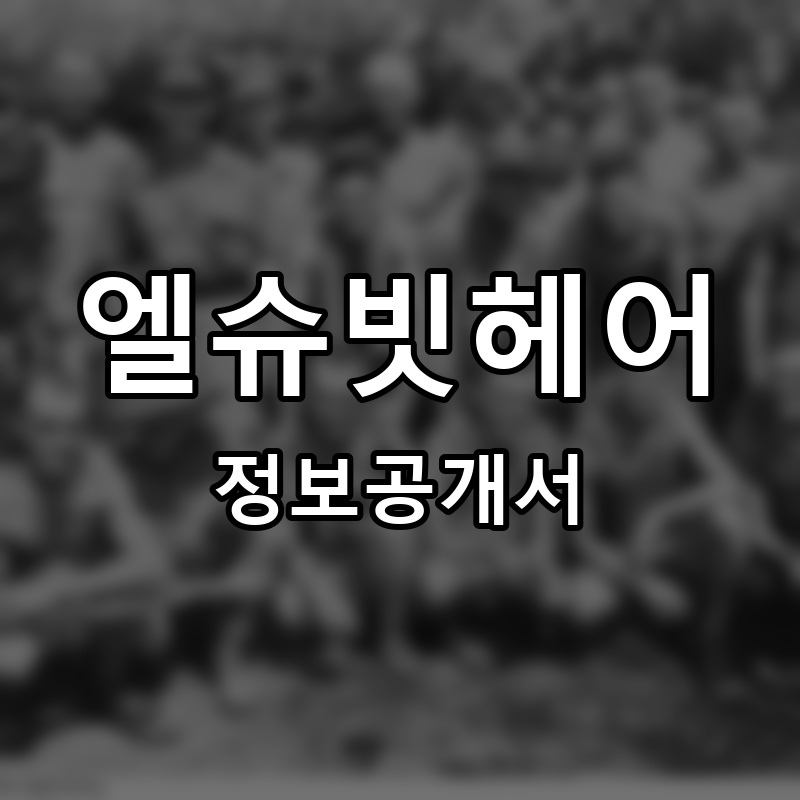 엘슈빗헤어 프랜차이즈 정보공개서