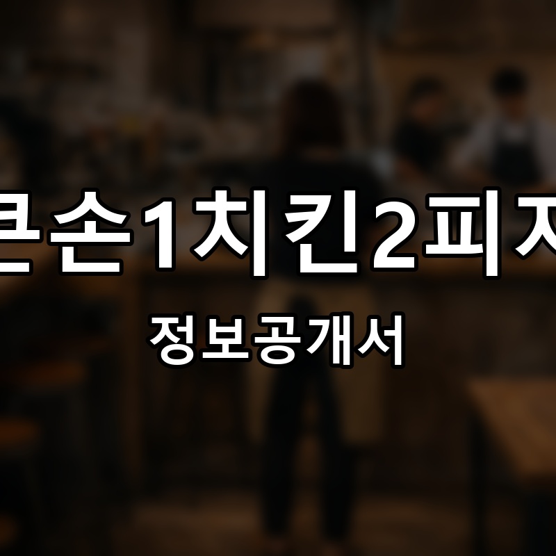 큰손1치킨2피자 프랜차이즈 정보공개서