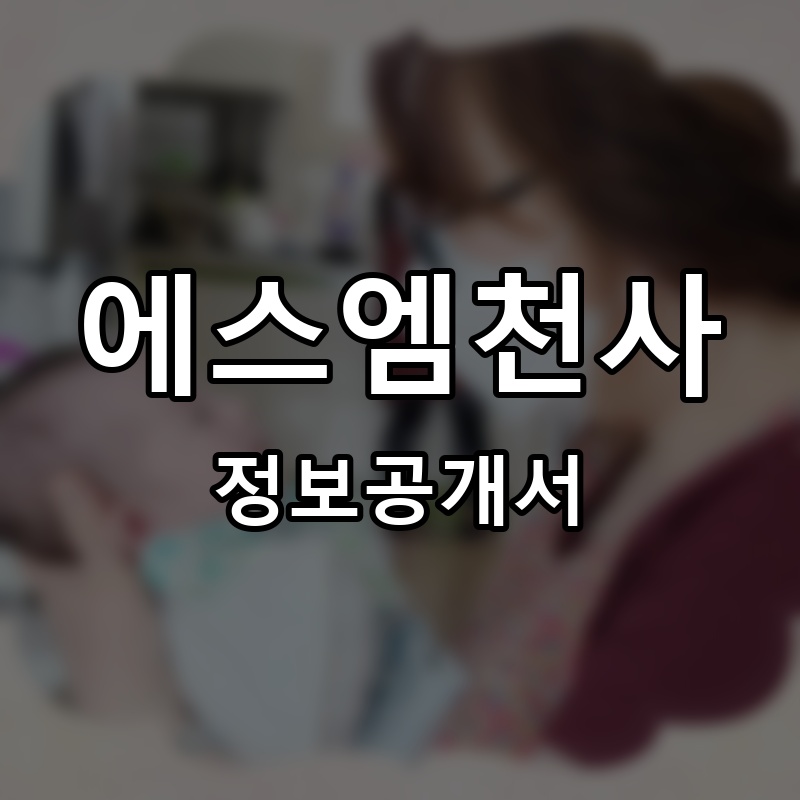 에스엠천사 프랜차이즈 정보공개서