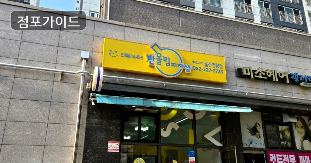 양천구 반올림피자 양도양수 순수익 545만원, 인수 전 검토 포인트